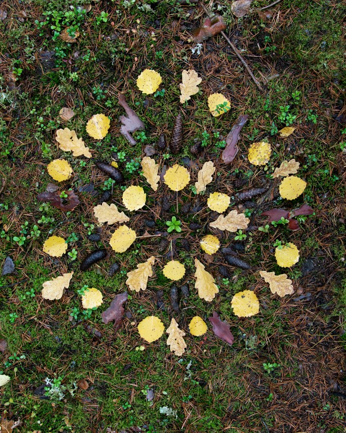 Emma n mandala nettikuva