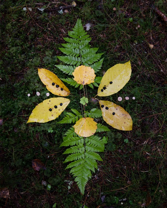 Emma p mandala nettikuva