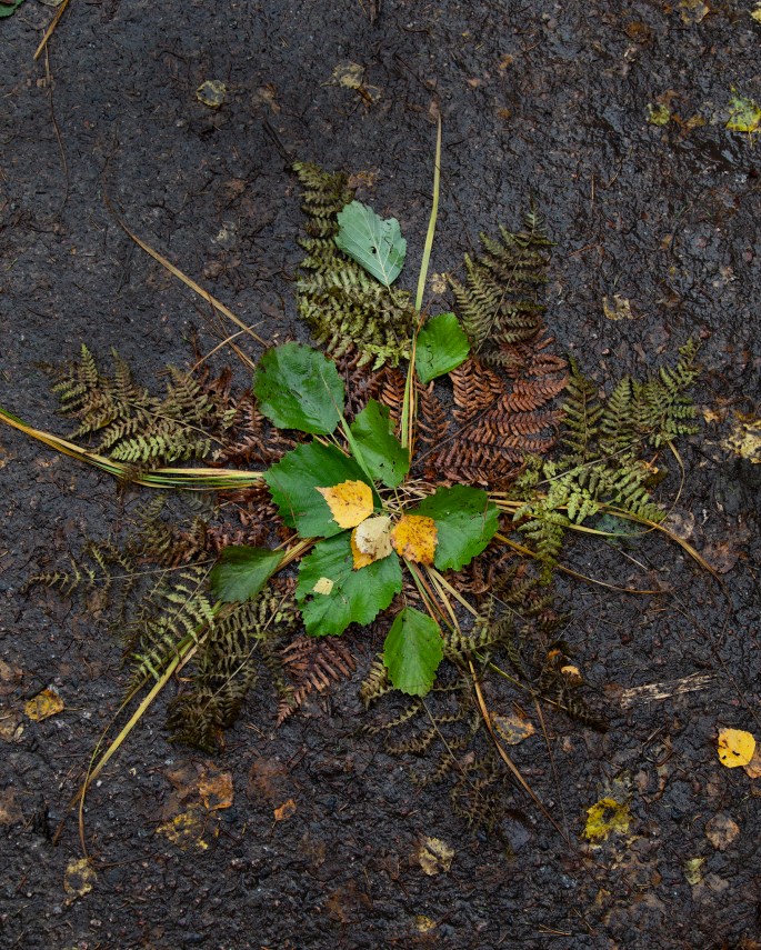 Maijan mandala nettikuva