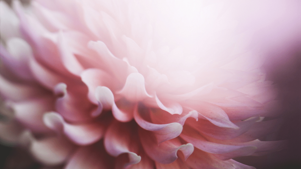 Nimetön suunn.malli(3)